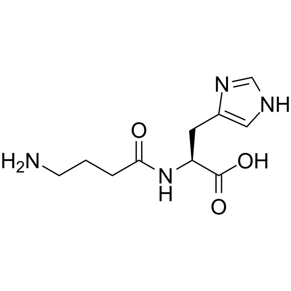 Homocarnosine 3650-73-5